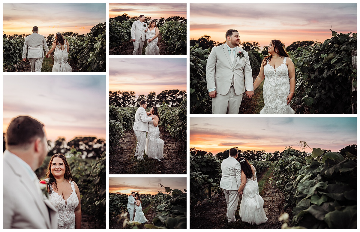 Vineyard Wedding