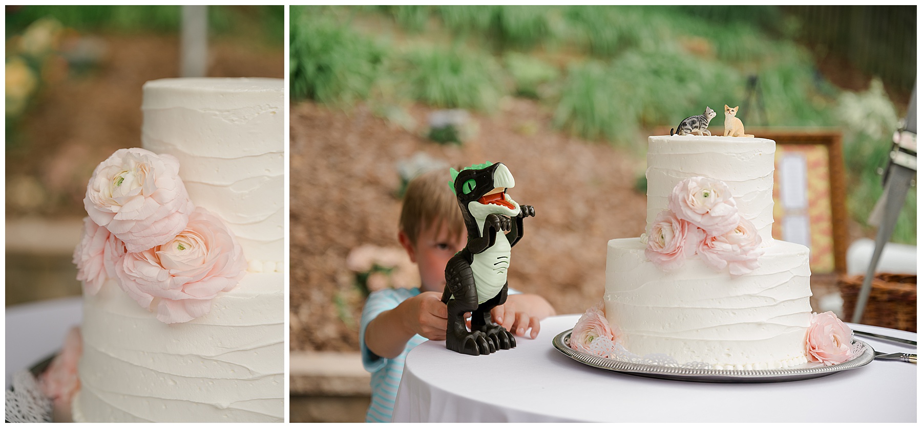 the Cake